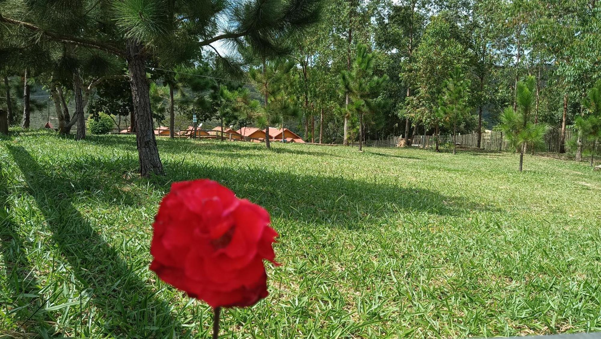 Chales E Camping Do Robinho 1 São Tomé das Letras Bagian luar foto